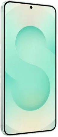 Samsung Galaxy S25 12+ 128Gb Mint (Snapdragon,2 nano-SIM/eSIM)